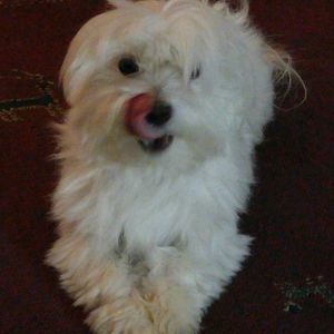 Meet your Posher, Sherry